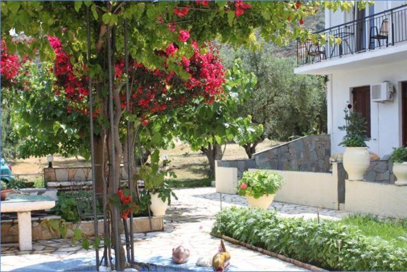 Ballas Apartments Agia Efimia Exterior photo